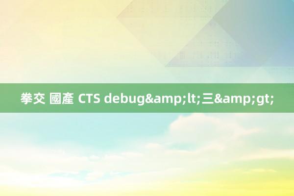 拳交 國產 CTS debug&lt;三&gt;