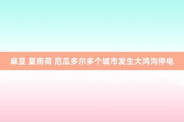 麻豆 夏雨荷 厄瓜多尔多个城市发生大鸿沟停电