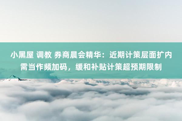 小黑屋 调教 券商晨会精华：近期计策层面扩内需当作频加码，缓和补贴计策超预期限制