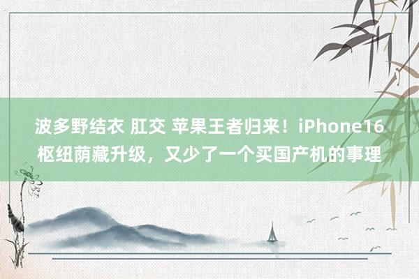 波多野结衣 肛交 苹果王者归来！iPhone16枢纽荫藏升级，又少了一个买国产机的事理