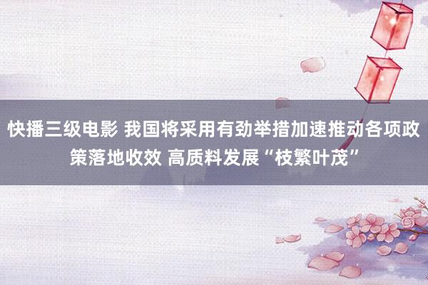 快播三级电影 我国将采用有劲举措加速推动各项政策落地收效 高质料发展“枝繁叶茂”