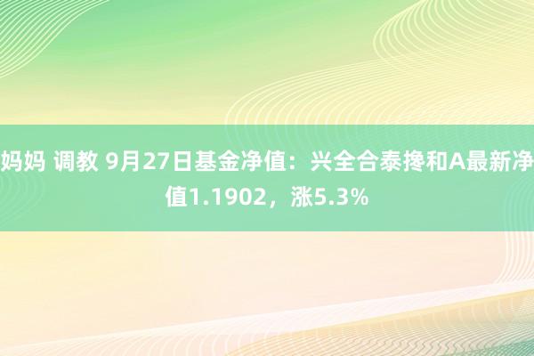 妈妈 调教 9月27日基金净值：兴全合泰搀和A最新净值1.1902，涨5.3%