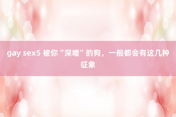 gay sex5 被你“深嗜”的狗，一般都会有这几种征象