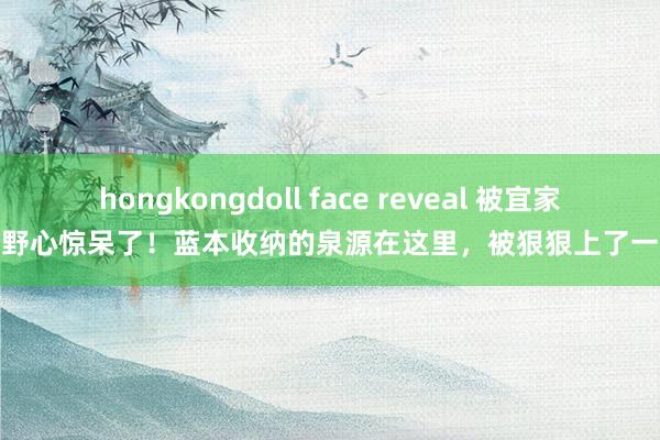 hongkongdoll face reveal 被宜家的野心惊呆了！蓝本收纳的泉源在这里，被狠狠上了一课