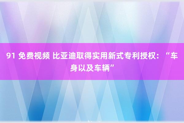 91 免费视频 比亚迪取得实用新式专利授权：“车身以及车辆”
