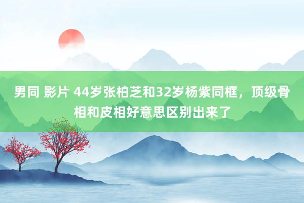 男同 影片 44岁张柏芝和32岁杨紫同框,顶级骨相和皮相好意思区别出来了