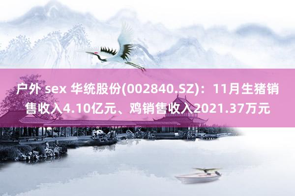 户外 sex 华统股份(002840.SZ)：11月生猪销售收入4.10亿元、鸡销售收入2021.37万元