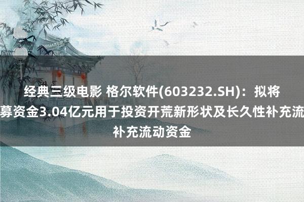 经典三级电影 格尔软件(603232.SH)：拟将节余召募资金3.04亿元用于投资开荒新形状及长久性补充流动资金