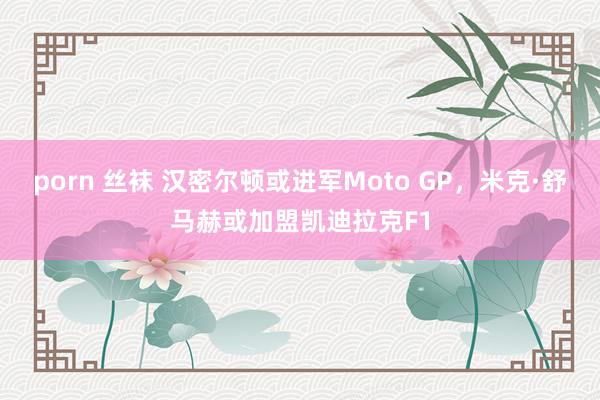 porn 丝袜 汉密尔顿或进军Moto GP，米克·舒马赫或加盟凯迪拉克F1
