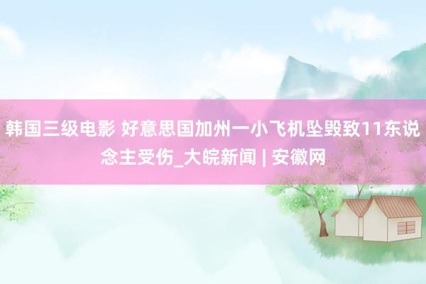 韩国三级电影 好意思国加州一小飞机坠毁致11东说念主受伤_大皖新闻 | 安徽网