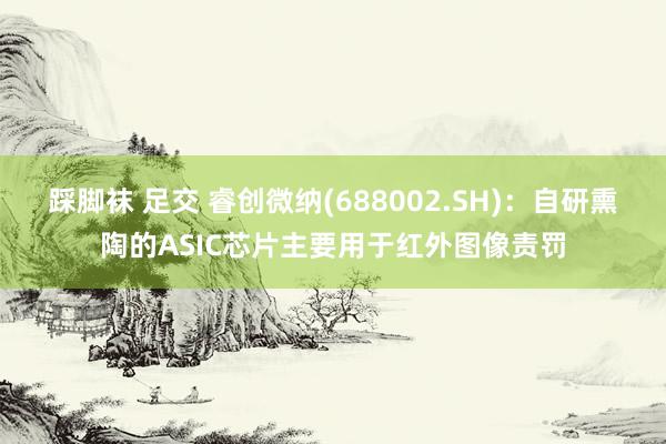 踩脚袜 足交 睿创微纳(688002.SH)：自研熏陶的ASIC芯片主要用于红外图像责罚