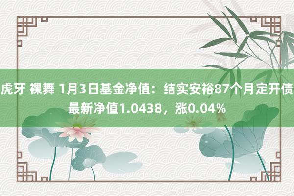 虎牙 裸舞 1月3日基金净值：结实安裕87个月定开债最新净值1.0438，涨0.04%