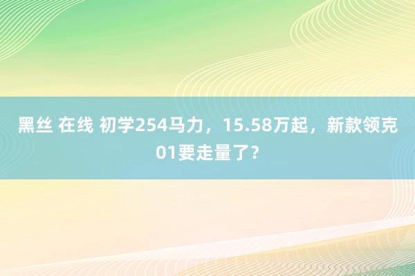 黑丝 在线 初学254马力，15.58万起，新款领克01要走量了？