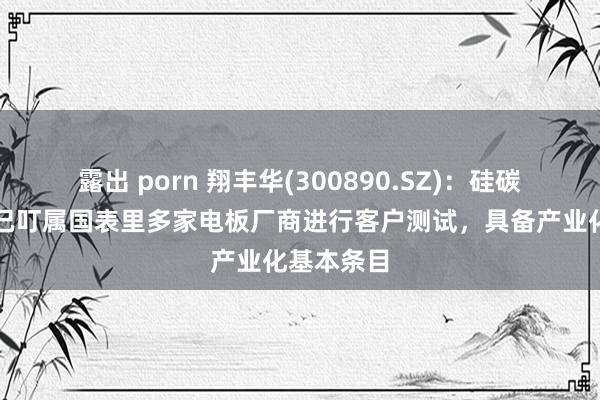 露出 porn 翔丰华(300890.SZ)：硅碳负极居品已叮属国表里多家电板厂商进行客户测试，具备产业化基本条目