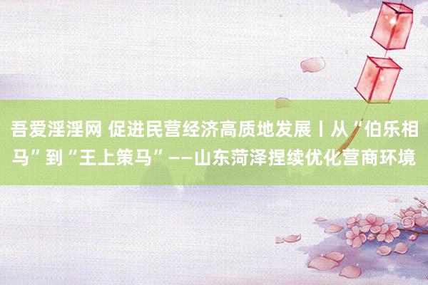 吾爱淫淫网 促进民营经济高质地发展丨从“伯乐相马”到“王上策马”——山东菏泽捏续优化营商环境