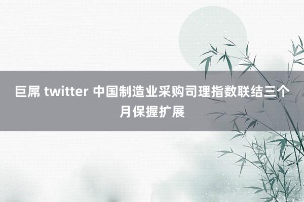 巨屌 twitter 中国制造业采购司理指数联结三个月保握扩展