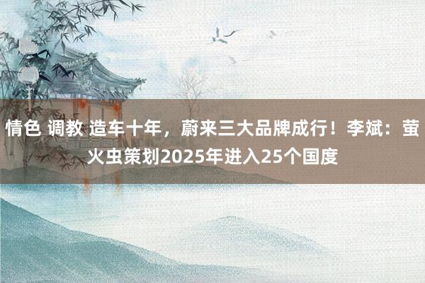 情色 调教 造车十年，蔚来三大品牌成行！李斌：萤火虫策划2025年进入25个国度
