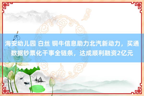 海安幼儿园 白丝 铜牛信息助力北汽新动力，买通数据钞票化干事全链条，达成顺利融资2亿元