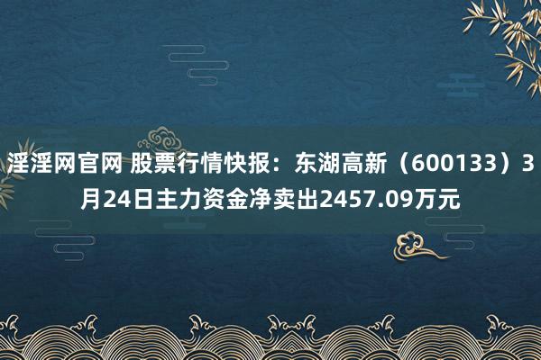 淫淫网官网 股票行情快报：东湖高新（600133）3月24日主力资金净卖出2457.09万元