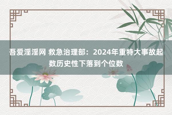 吾爱淫淫网 救急治理部：2024年重特大事故起数历史性下落到个位数