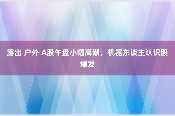 露出 户外 A股午盘小幅高潮，机器东谈主认识股爆发
