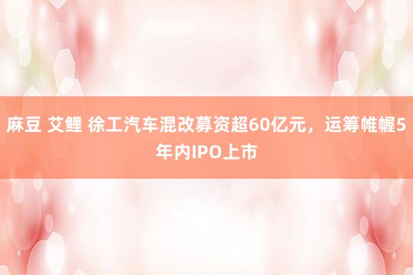 麻豆 艾鲤 徐工汽车混改募资超60亿元，运筹帷幄5年内IPO上市