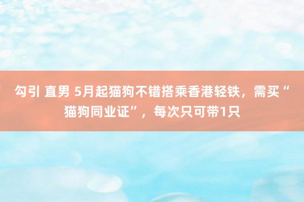 勾引 直男 5月起猫狗不错搭乘香港轻铁，需买“猫狗同业证”，每次只可带1只