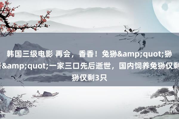 韩国三级电影 再会，香香！兔狲&quot;狲尚香&quot;一家三口先后逝世，国内饲养兔狲仅剩3只