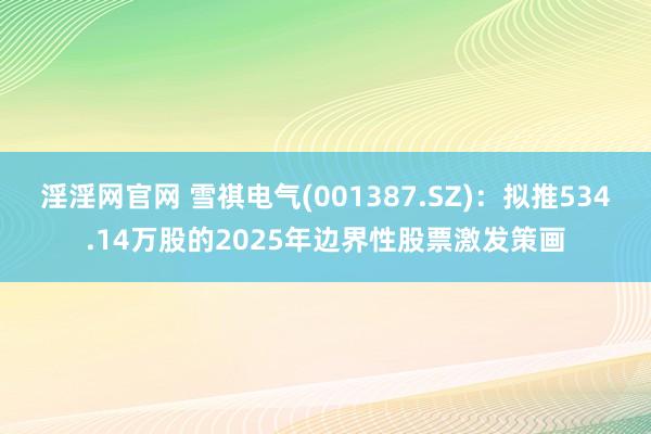 淫淫网官网 雪祺电气(001387.SZ)：拟推534.14万股的2025年边界性股票激发策画