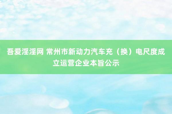吾爱淫淫网 常州市新动力汽车充（换）电尺度成立运营企业本旨公示