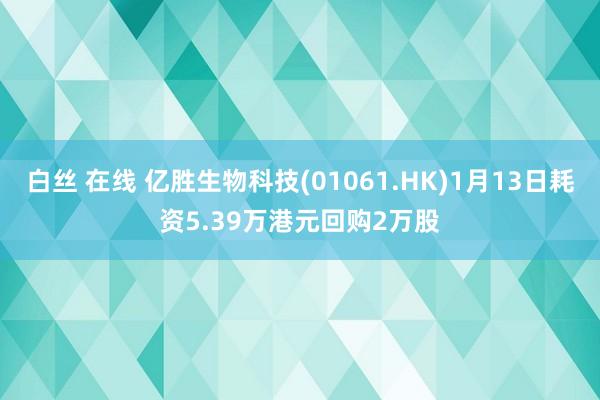 白丝 在线 亿胜生物科技(01061.HK)1月13日耗资5.39万港元回购2万股