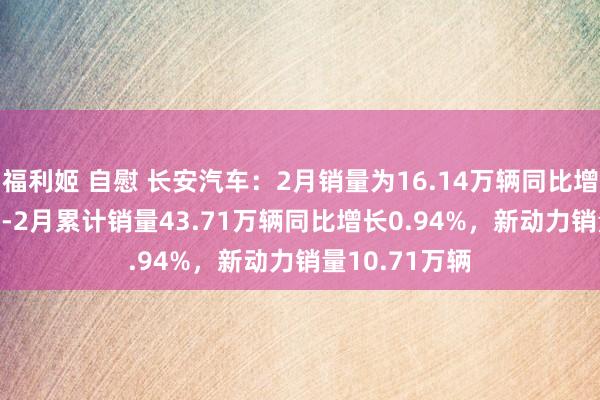 福利姬 自慰 长安汽车：2月销量为16.14万辆同比增长5.72%，1-2月累计销量43.71万辆同比增长0.94%，新动力销量10.71万辆