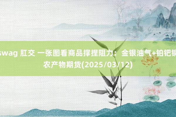 swag 肛交 一张图看商品撑捏阻力：金银油气+铂钯铜农产物期货(2025/03/12)