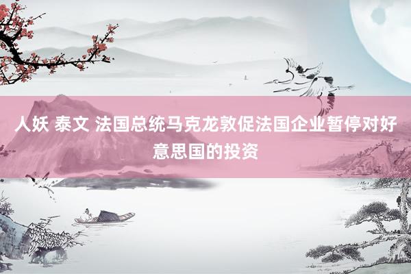人妖 泰文 法国总统马克龙敦促法国企业暂停对好意思国的投资