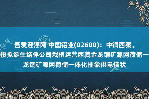 吾爱淫淫网 中国铝业(02600)：中铜西藏、宁夏动力与西藏开投拟诞生结伴公司栽植运营西藏金龙铜矿源网荷储一体化抽象供电情状