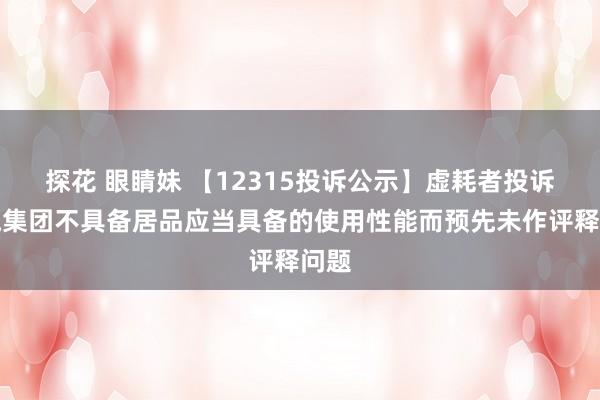 探花 眼睛妹 【12315投诉公示】虚耗者投诉上汽集团不具备居品应当具备的使用性能而预先未作评释问题