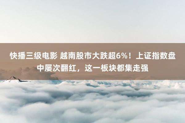 快播三级电影 越南股市大跌超6%！上证指数盘中屡次翻红，这一板块都集走强