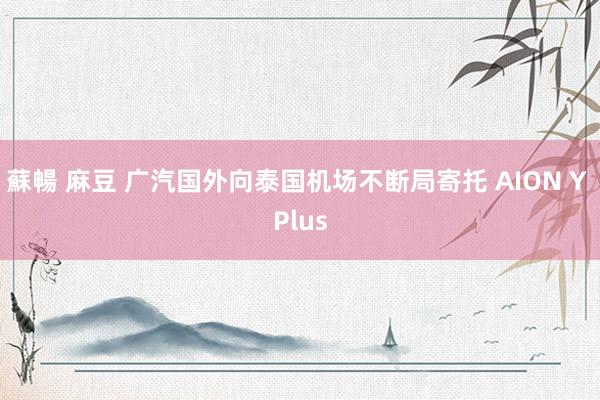 蘇暢 麻豆 广汽国外向泰国机场不断局寄托 AION Y Plus