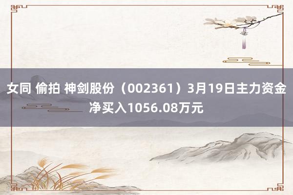 女同 偷拍 神剑股份（002361）3月19日主力资金净买入1056.08万元