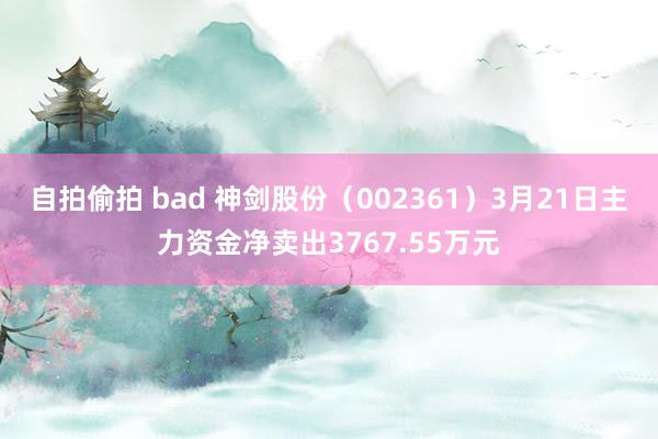 自拍偷拍 bad 神剑股份（002361）3月21日主力资金净卖出3767.55万元