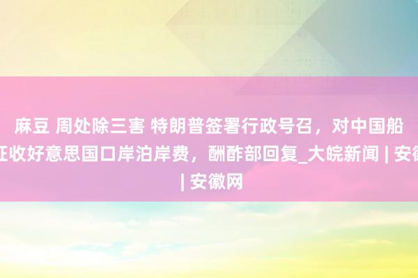 麻豆 周处除三害 特朗普签署行政号召，对中国船只征收好意思国口岸泊岸费，酬酢部回复_大皖新闻 | 安徽网