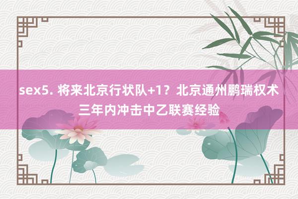 sex5. 将来北京行状队+1？北京通州鹏瑞权术三年内冲击中乙联赛经验
