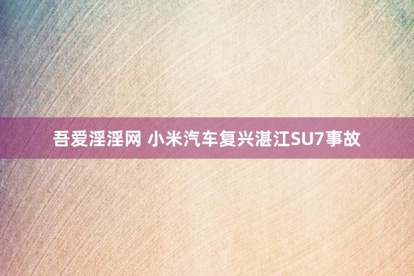 吾爱淫淫网 小米汽车复兴湛江SU7事故