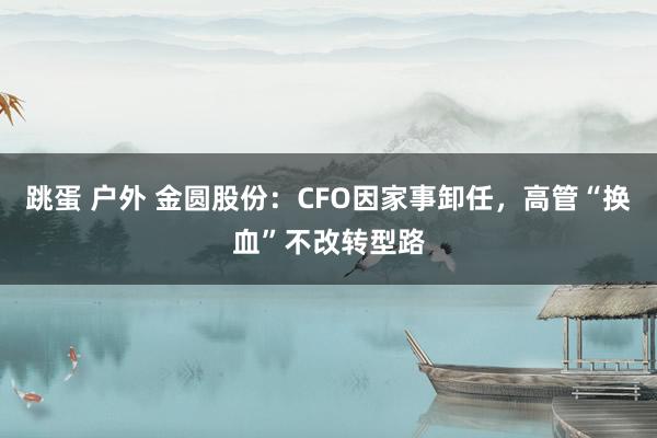 跳蛋 户外 金圆股份：CFO因家事卸任，高管“换血”不改转型路