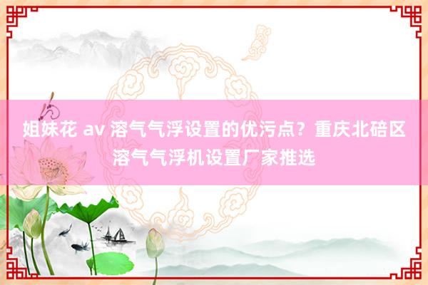 姐妹花 av 溶气气浮设置的优污点？重庆北碚区溶气气浮机设置厂家推选