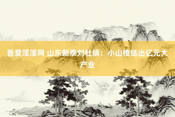 吾爱淫淫网 山东新泰刘杜镇：小山楂结出亿元大产业