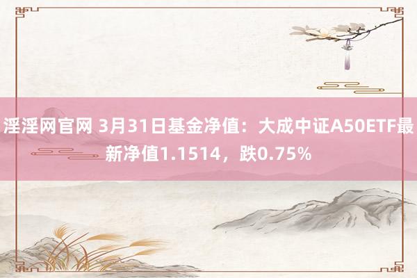 淫淫网官网 3月31日基金净值：大成中证A50ETF最新净值1.1514，跌0.75%