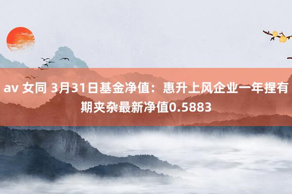 av 女同 3月31日基金净值：惠升上风企业一年捏有期夹杂最新净值0.5883