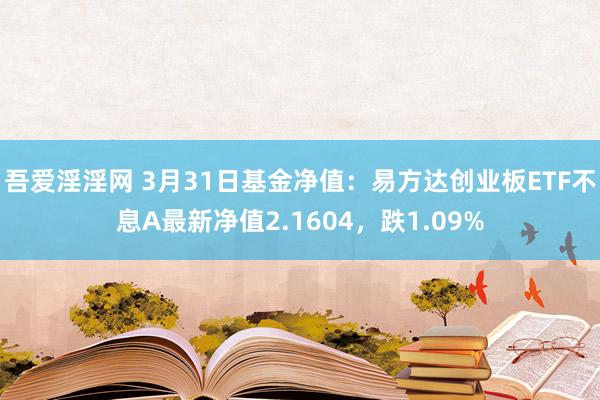 吾爱淫淫网 3月31日基金净值：易方达创业板ETF不息A最新净值2.1604，跌1.09%