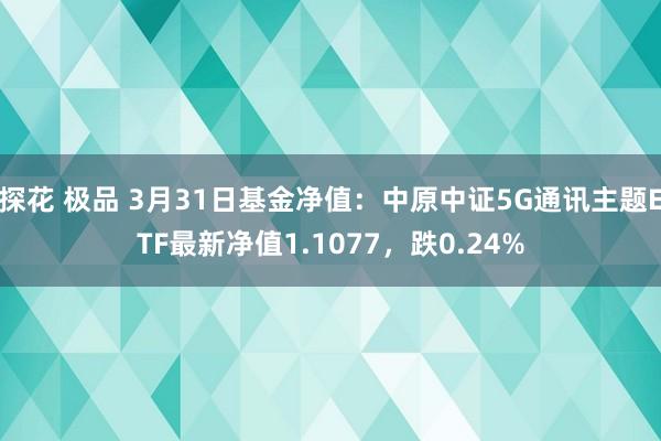 探花 极品 3月31日基金净值：中原中证5G通讯主题ETF最新净值1.1077，跌0.24%
